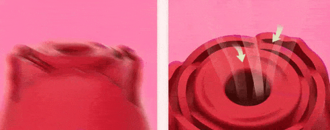 Suction and Vibration Functions