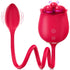 Dual Rose Vibrator with Egg Massager