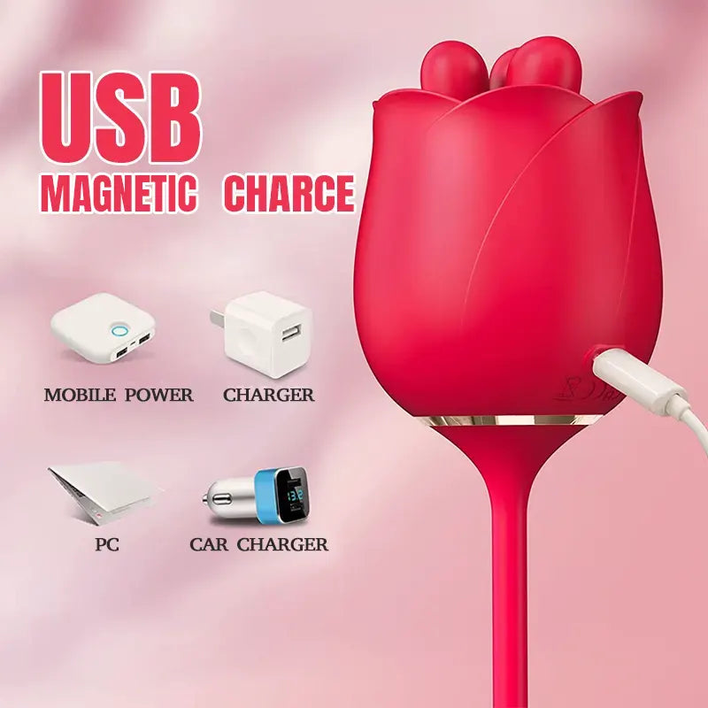 Dual Rose Vibrator with Egg Massager