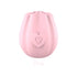 Roseheart Clitoral Suction Pleasure Toy