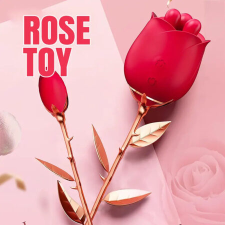 Dual Rose Vibrator with Egg Massager