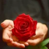 Holding the rose toy in my palm