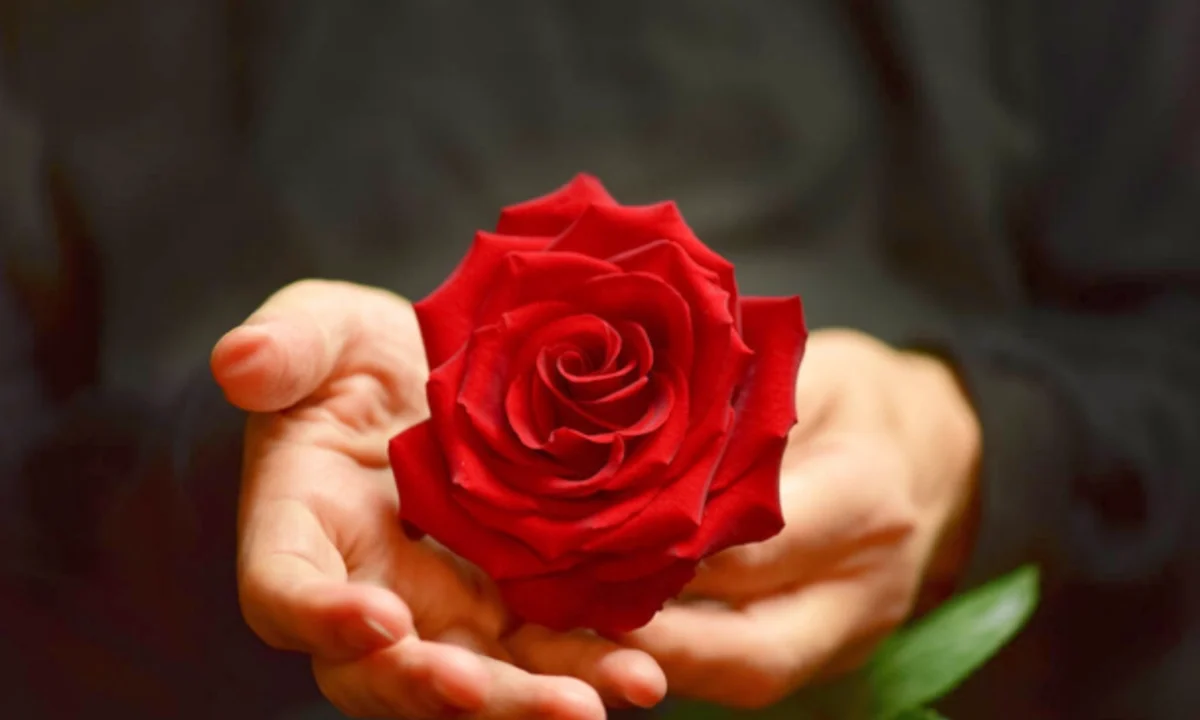 Holding the rose toy in my palm