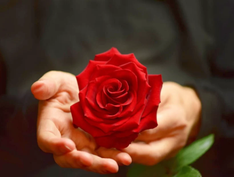 Holding the rose toy in my palm